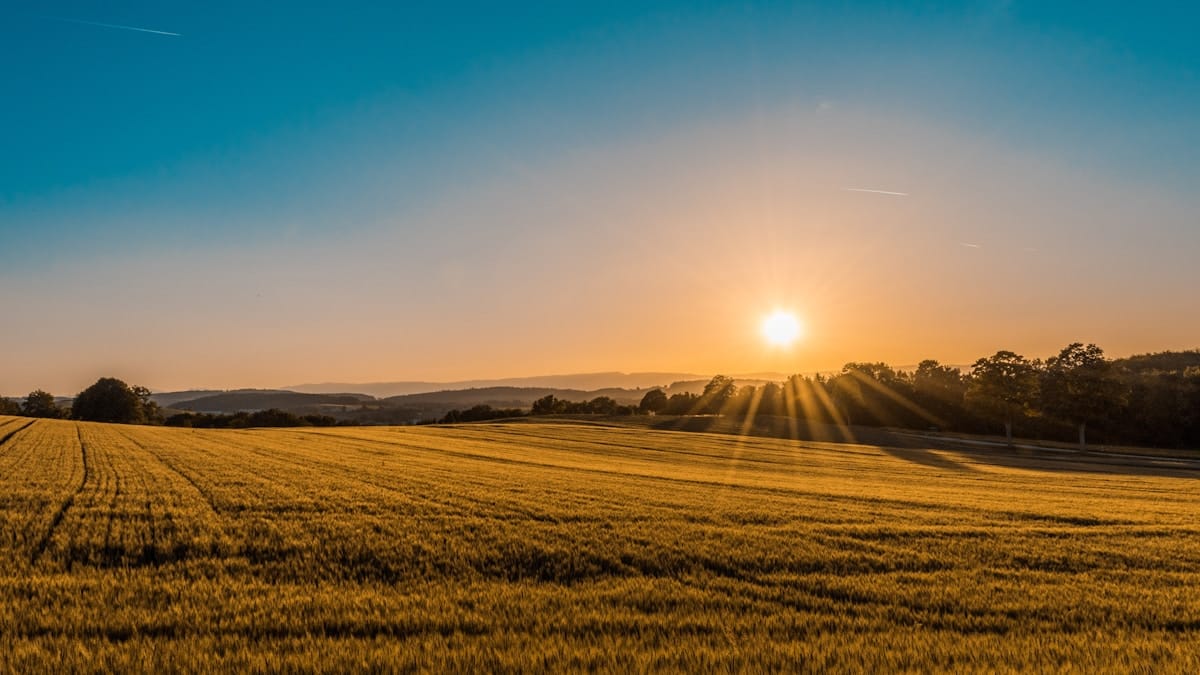 Turismo de Portugal Signs 12 Contracts Worth €11 Million to Rewrite the Map of Inland Tourism — Alentejo and Ribatejo Take the Lion's Share
