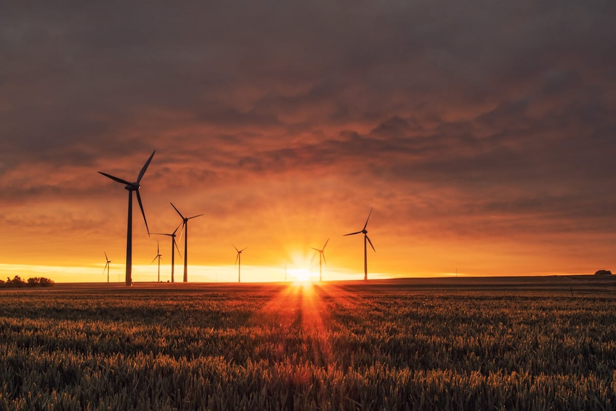 Maria da Graça Carvalho Tells Wind and Solar Developers to Bring Câmaras and Populations Into Projects From the Start — Mogadouro Extraordinary Assembly Hears ENGIE Picote and Tua Hybridisation Plans