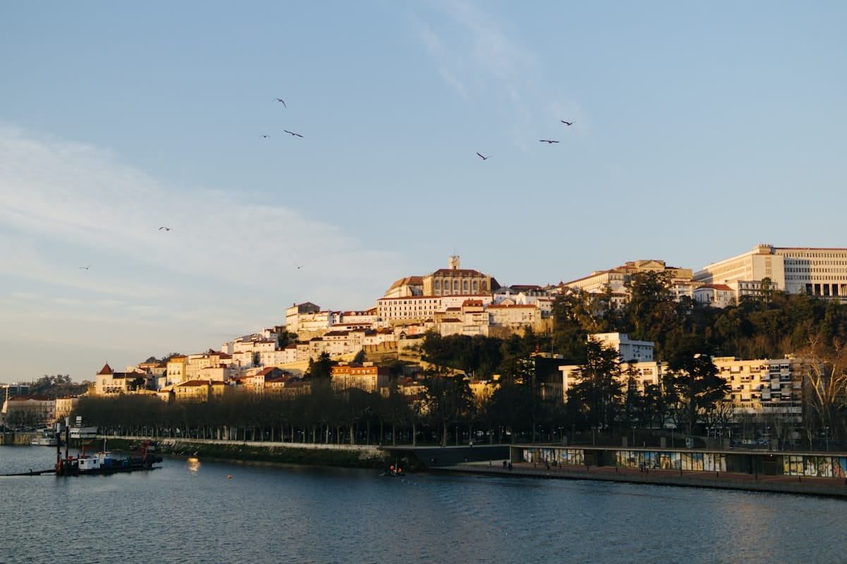 Mondego Flood Inquiry Begins: Five Engineers Appointed to Investigate Dike Failure and Climate Risks