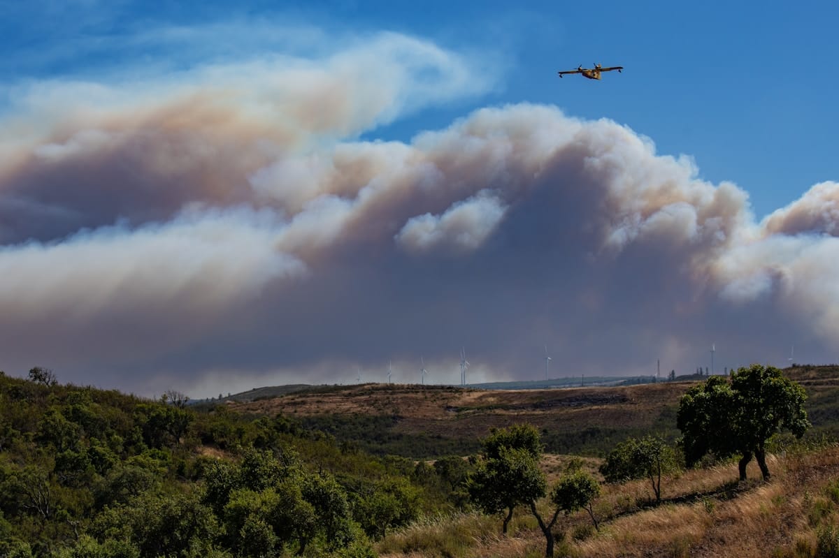 ANEPC President Tells MPs Civil Protection Budget Must Climb From €134.5M Back to €191M Before Summer — Moura Warns of 'Extremely Difficult' Fire Season and Slams PS Reform That Killed District Operations