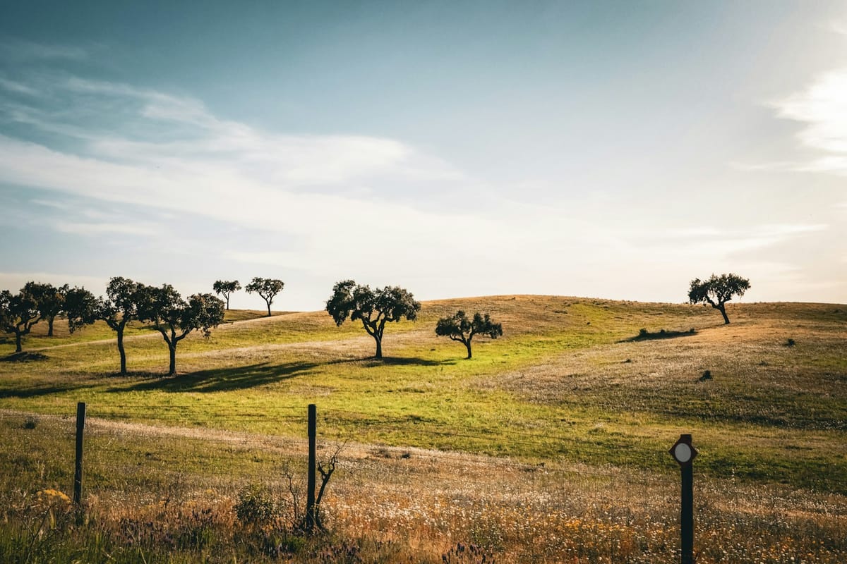€60 Million for Casa Branca-Beja Electrification, €80 Million for Alentejo Farmers, a 12-Month Credit-Moratorium Rollover and Aqua SA Under Macário Correia — Inside the Beja Council of Ministers Package