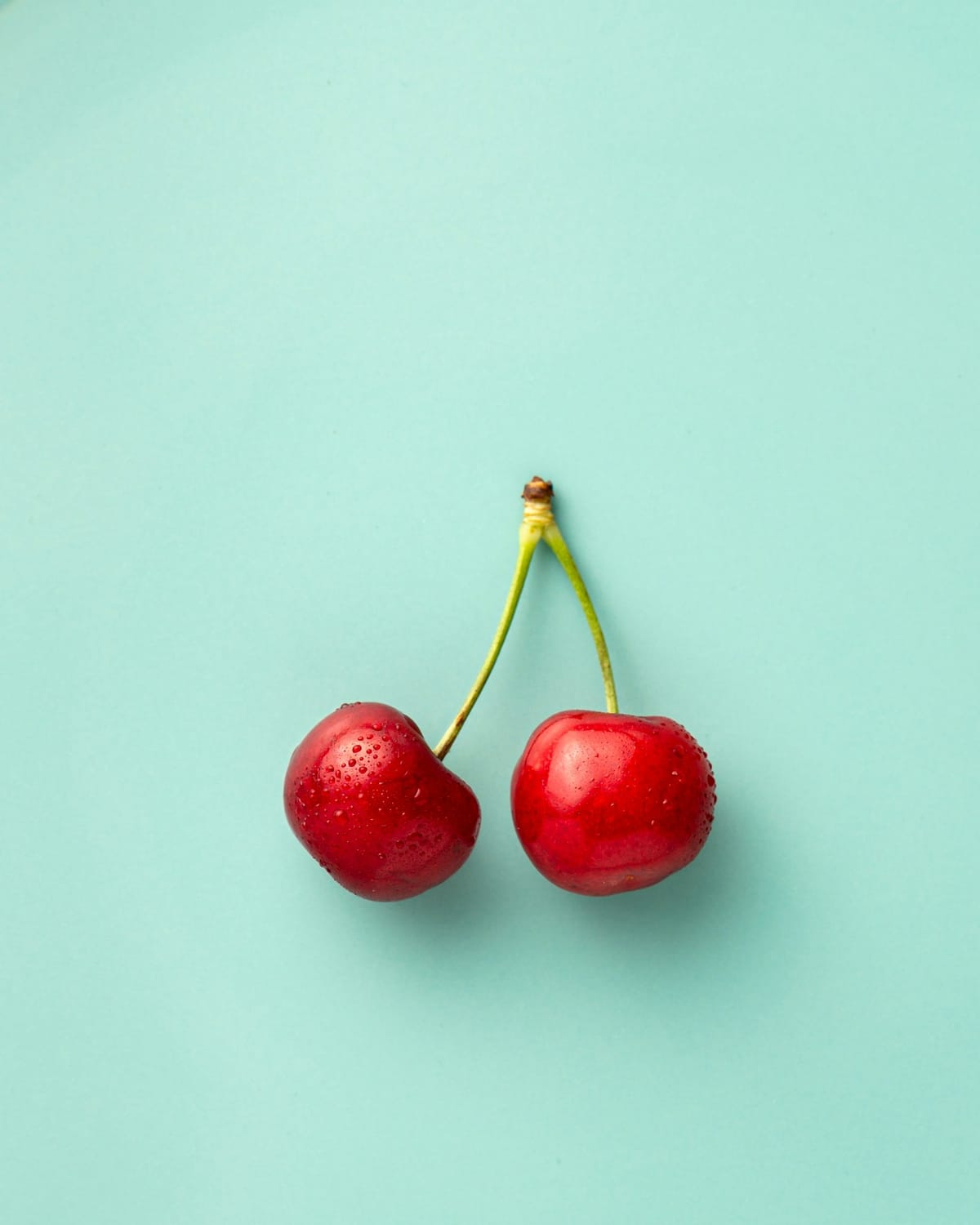 Cerfundão Says the 2026 Cherry Campaign in Fundão Could Hit 1,200-1,300 Tonnes — Almost Double the 700-Tonne 2025 Print as Cold Accumulation, Bloom and Foreign Labour Carry the Cova da Beira Back to a Normal Year