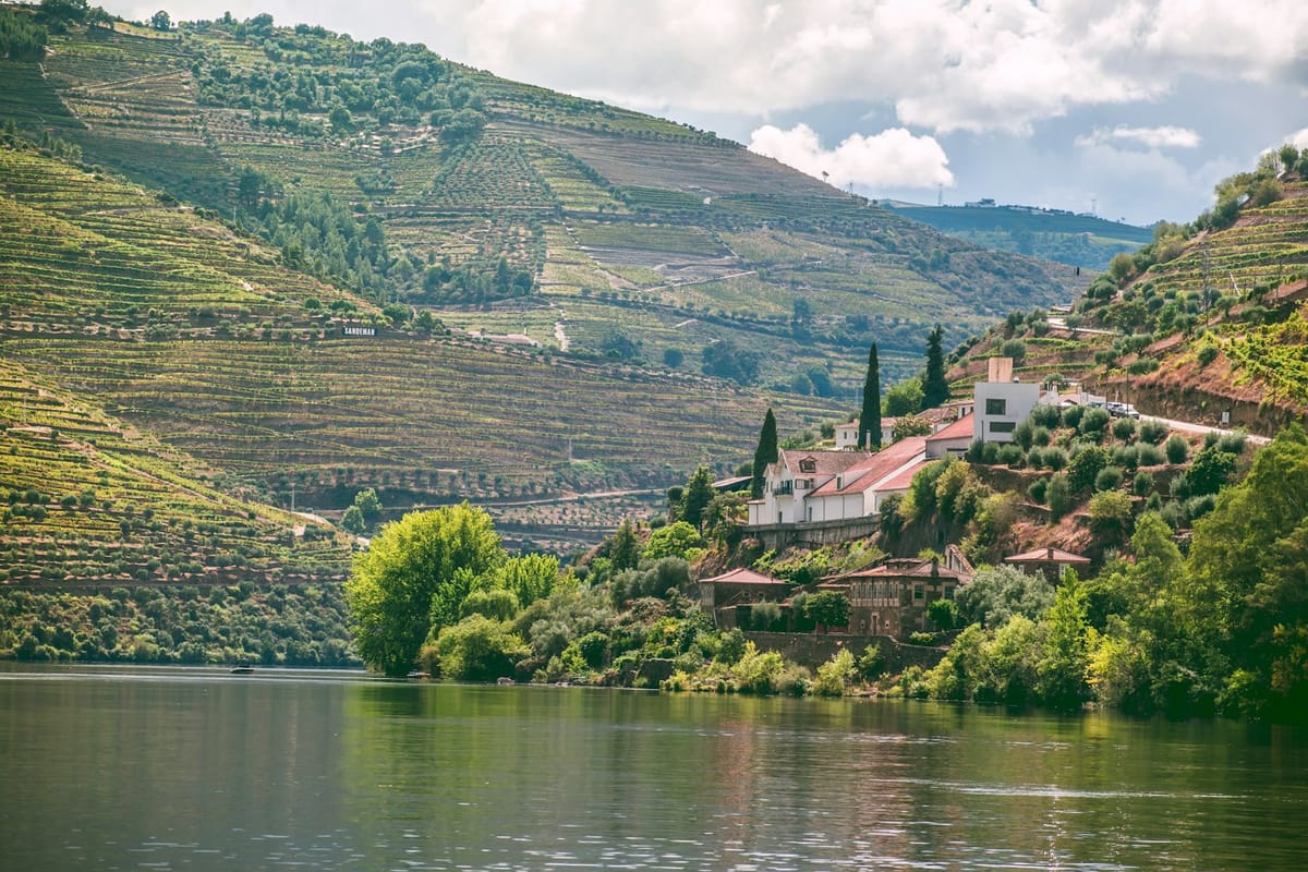 Port Wine Cuts the 2025 Vintage Authorisation to 75,000 Pipas in a 28% Two-Year Step-Down — €365 Million Business Volume, 65.7 Million Litres Sold and a Driest-Since-1931 Summer Frame the Structural Question