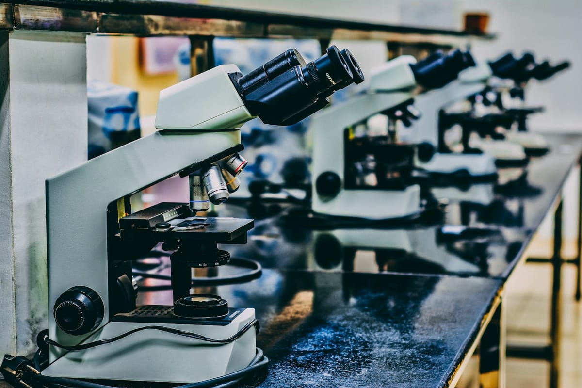 Faculdade de Ciências ULisboa Names a Five-Month Biology Research-Initiation Bolsa for Carolina Fernandes-Henriques — Family-Funded Grant Honours a 30-Year-Old CUNY Neuroscientist and Targets Talent Retention Inside Portugal
