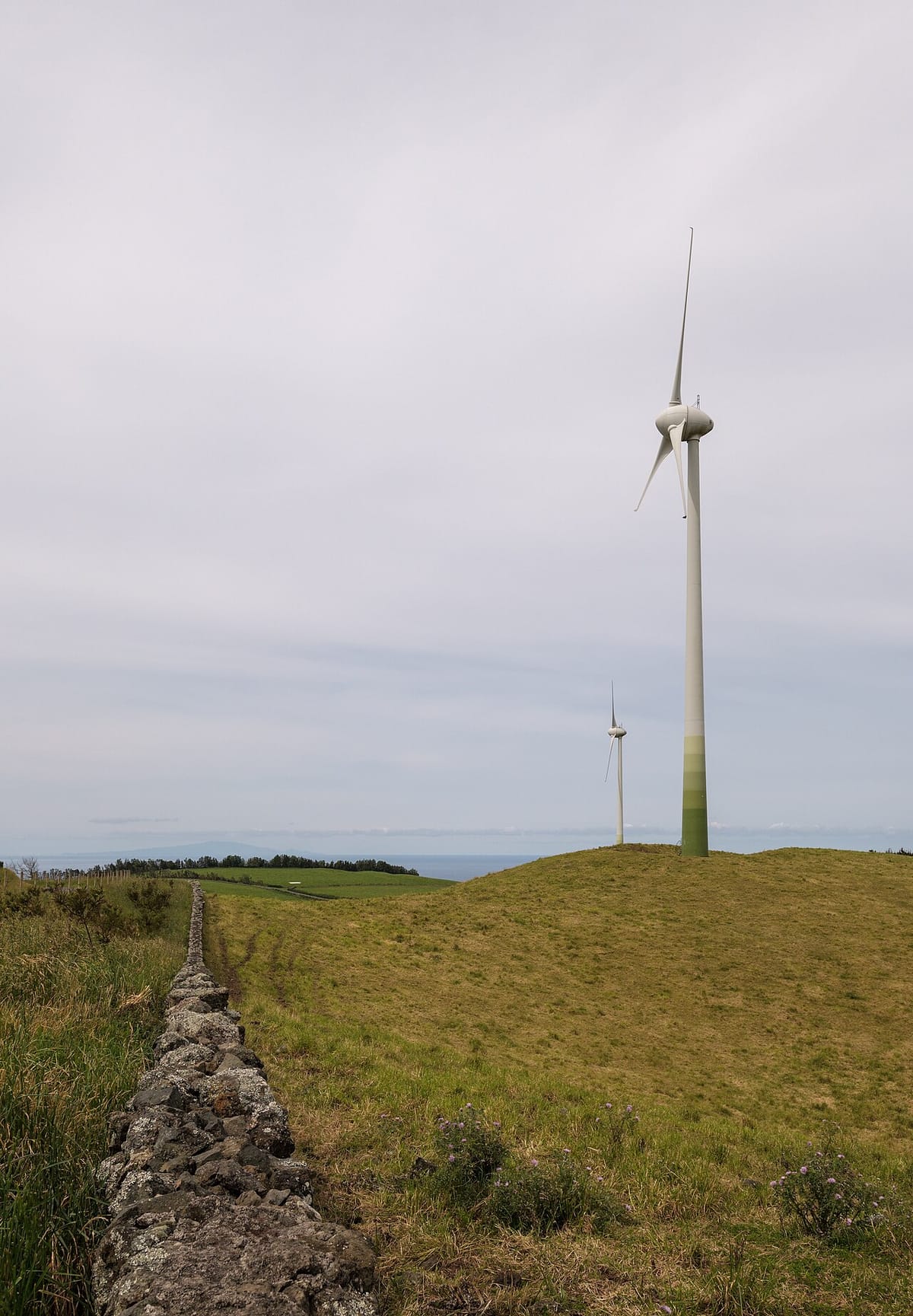 Sabugal Rejects Two Planned Renewable-Energy Acceleration Zones Over Fire and Land Fears
