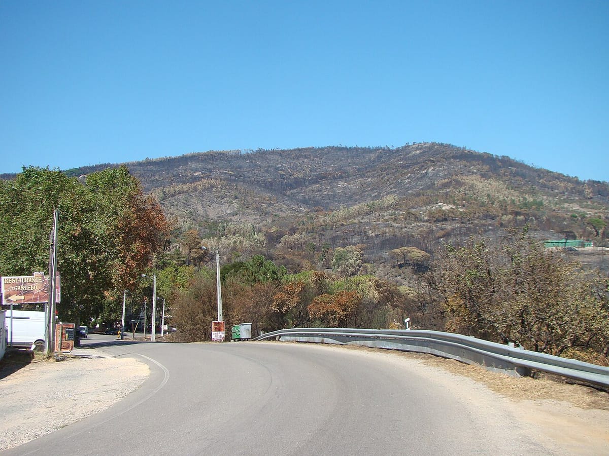 Portugal Summons EU Firefighting Aircraft as the Vouzela Blaze Burns Past 13,000 Hectares