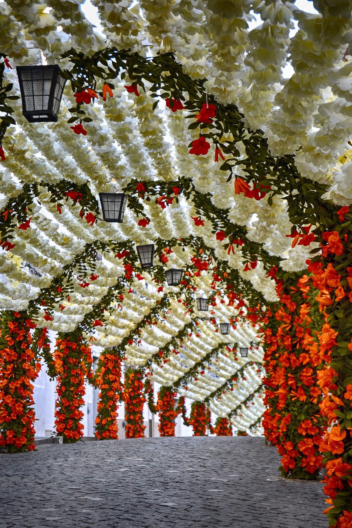 After Eleven Years, Campo Maior Readies Millions of Handmade Paper Flowers to Drape Its Streets for August's UNESCO-Listed People's Festival