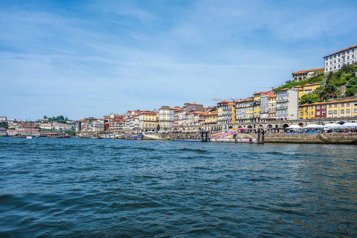 The Porto Brief — Week of 19 July 2026: The Race to Run the Metro, a Polytechnic Turned University, and the Dragons Fly Home With a Win