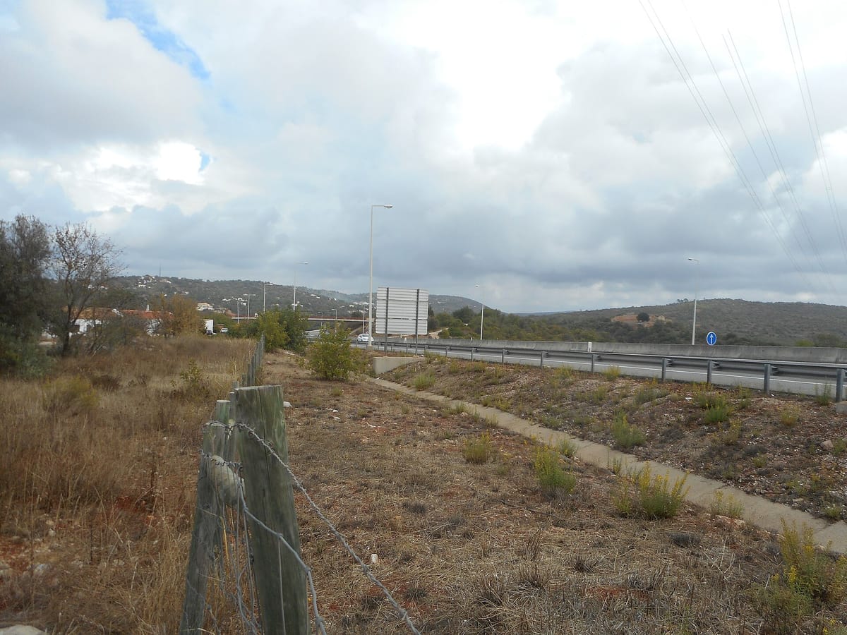 Scrapping Interior and Algarve Motorway Tolls Handed Foreign Vehicles a €12 Million Free Ride in 2025, Concessionaires Estimate