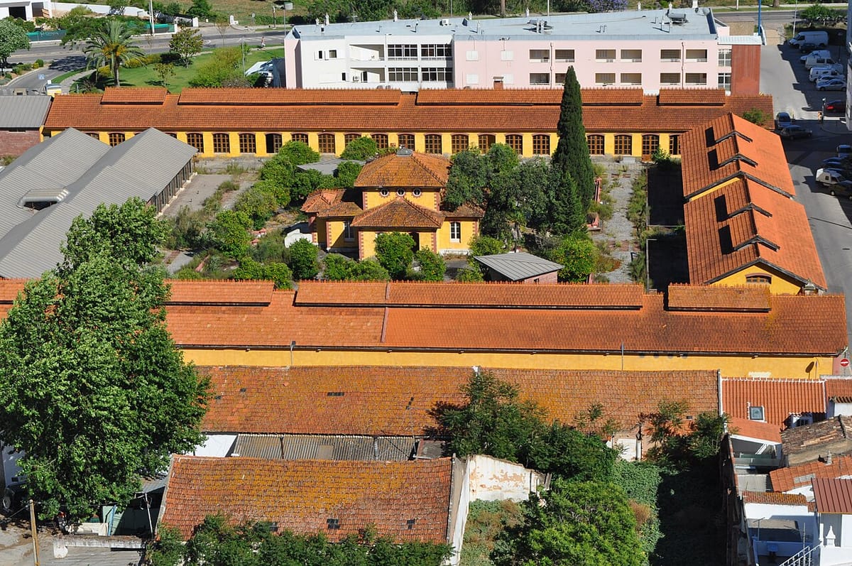 Silves Brings Back Its Award-Winning Cork Museum, Shut Since 2009