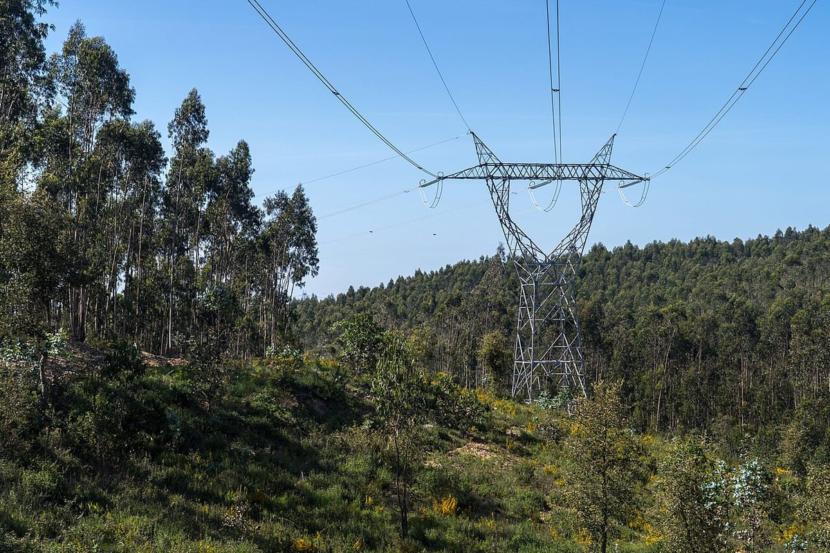 The Contribuição para o Audiovisual (CAV) in Portugal in 2026 — A Practical Guide to the €2.85 RTP Levy on Your Electricity Bill, the 6% VAT, the Reduced and Zero Rates, and Who Is Exempt