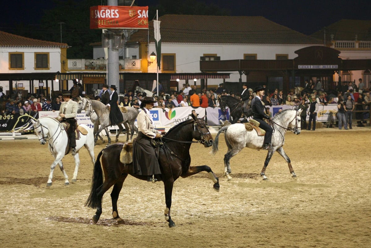 The Feira da Golega Enters Public Consultation for Portugal's Intangible Heritage Inventory, With UNESCO the Stated Goal