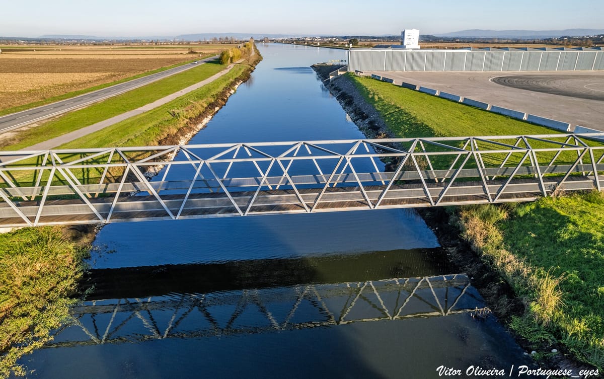 Fernando Pimenta Takes a Fourth World Title in the K1 1000 at 37, by Twenty-Two Hundredths of a Second