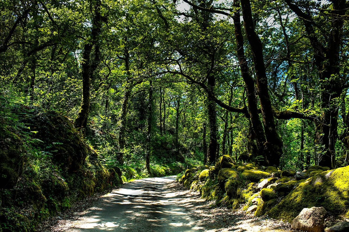 Quercus Challenges the Volta a Portugal's Ride Through Peneda-Gerês and Warns of a Dangerous Precedent