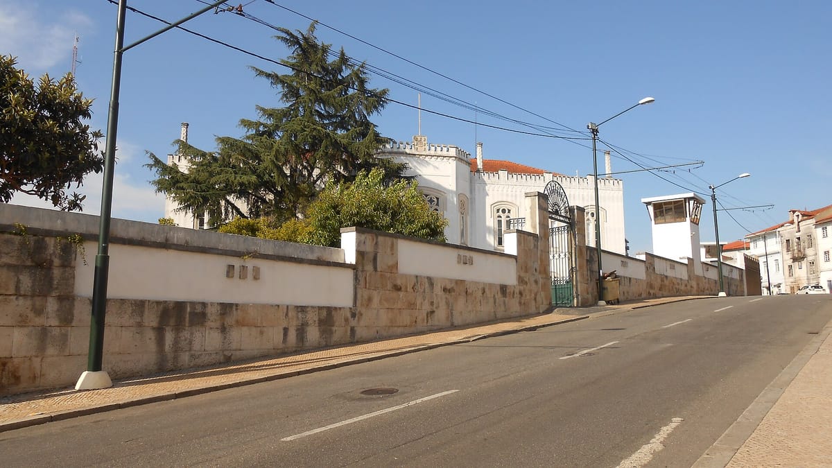 Creatine and Whey Protein Are Now Banned From Portugal's Prisons, Because the Search Kit at the Gate Cannot Tell Them From Drugs