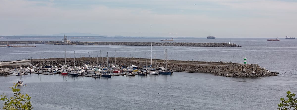 A Decade Added 98 Non-Native Marine Species to Portuguese Waters, and the Scientists Say Nobody Verifies the Ballast Rules