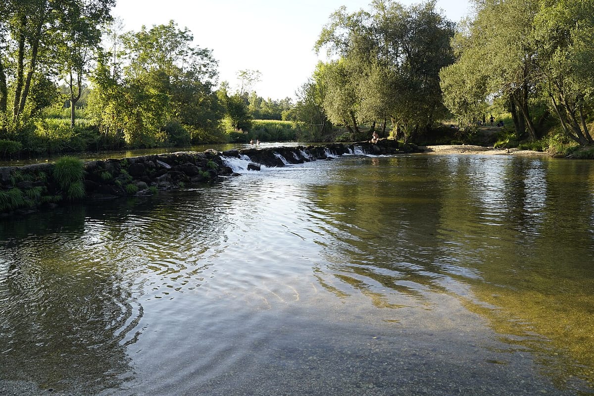 Ninety-Two Drownings by 31 July Set a Decade Record, and Rivers Account for More Than a Third