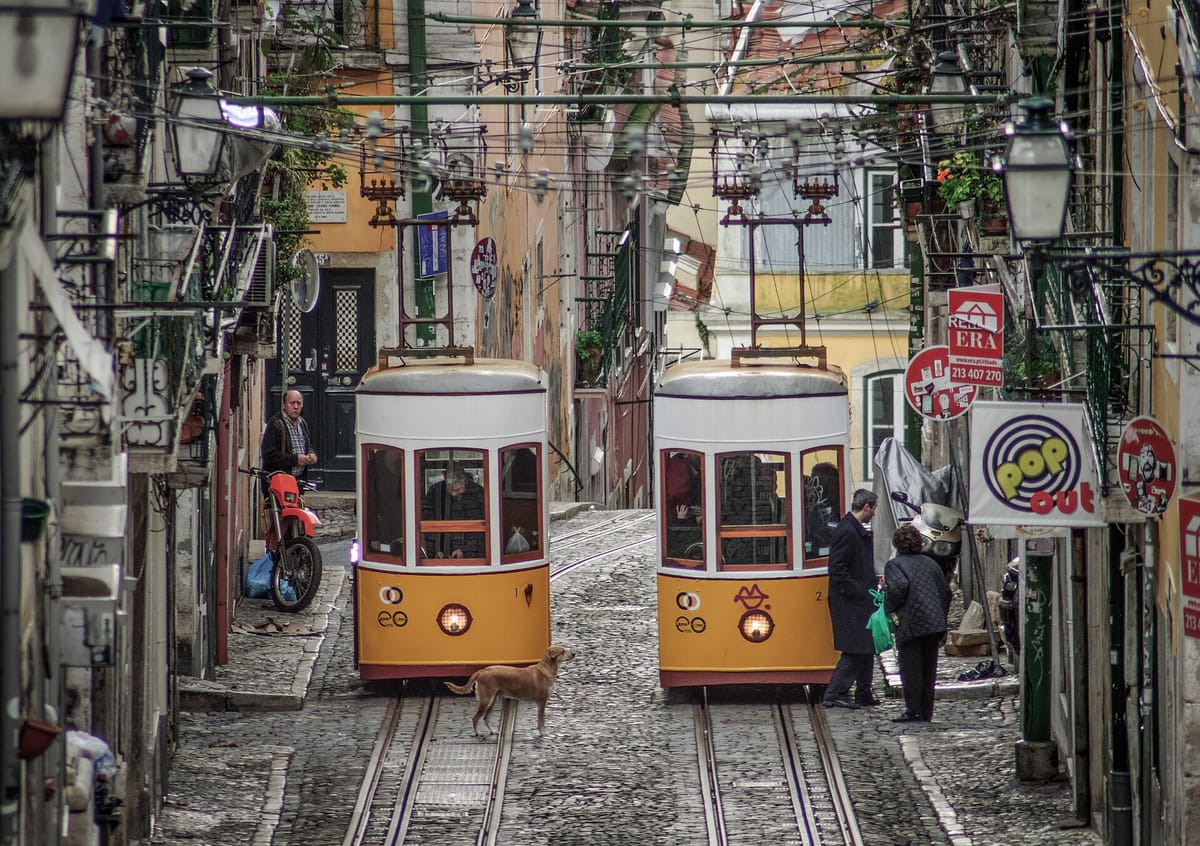 The Lisboa Brief, Week of 29 August 2026: A Year On, Carris Still Cannot Say When the Lifts Reopen, Moedas Counts Zero of His 200 Police, and the Baixa Loses Its Last Bank