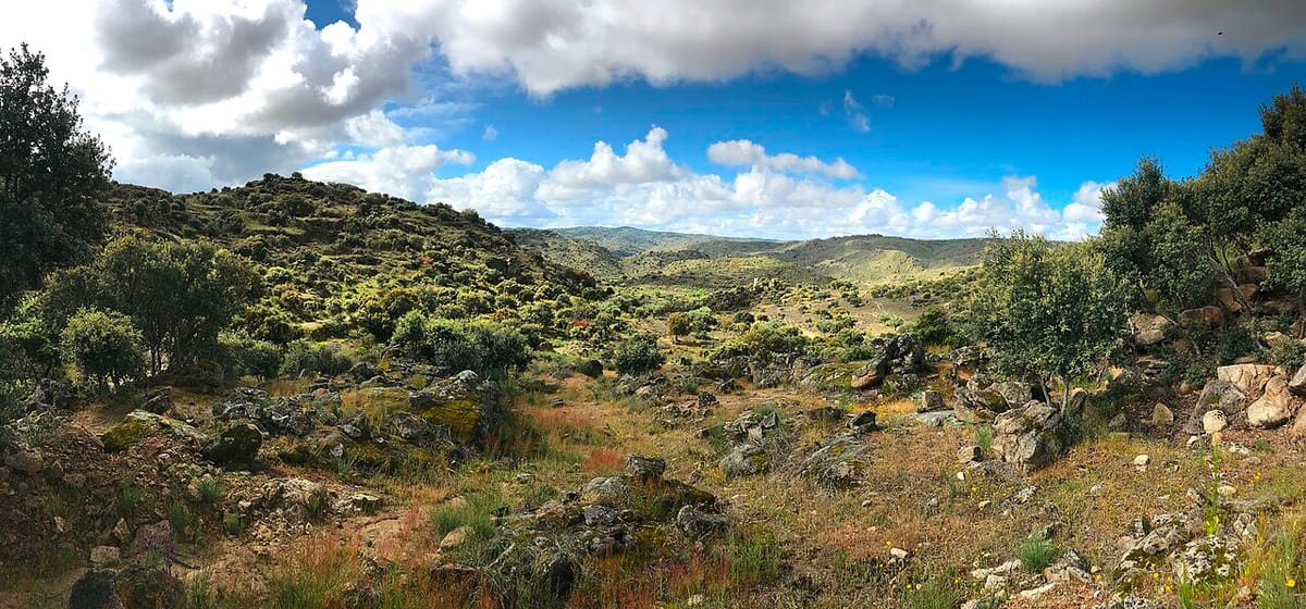 Rewilding Portugal Releases 17 Wild Rabbits Into the Côa Valley to Rebuild the Prey Base for Lynx and Eagles