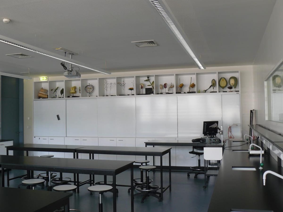 Almost 3,300 Teachers Retired This Year as the Government Restricts the €750 'Stay-On' Bonus to Shortage Regions