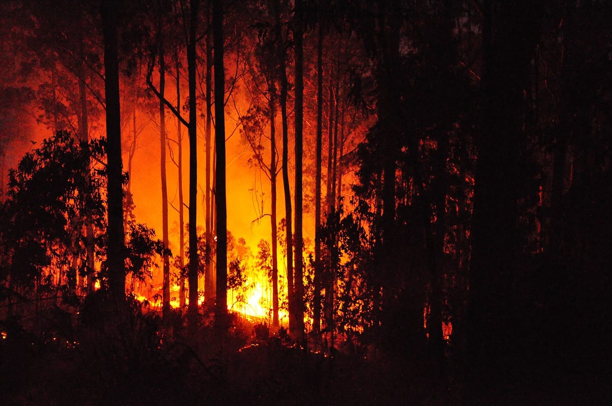Portugal's Burned Area Is a Quarter of Last Year's, but It Has Lit More Fires Than in Any Year Since 2022