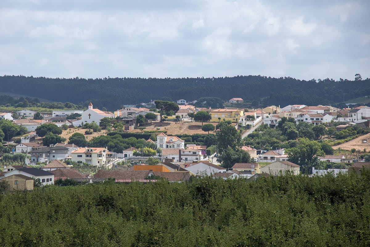 Thirty-One Foreign Farm Workers Were Sleeping in a Bombarral Agricultural Shed, and the Owner Got Twenty-Four Hours to Rehouse Them