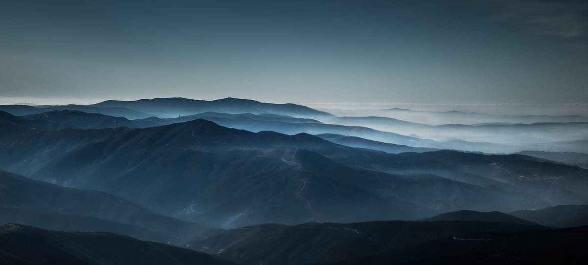 Four Years On, Almost None of the €155 Million Pledged to Rebuild Serra da Estrela Has Been Spent