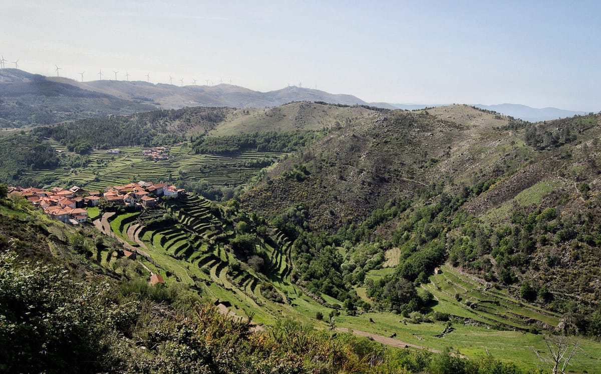 Registering Rural Land on BUPi in Portugal in 2026: A Practical Guide to the 30 September Free Deadline, the RGG Your Sale Already Needs, and the 15-Year Route by Which Unclaimed Land Becomes the State's