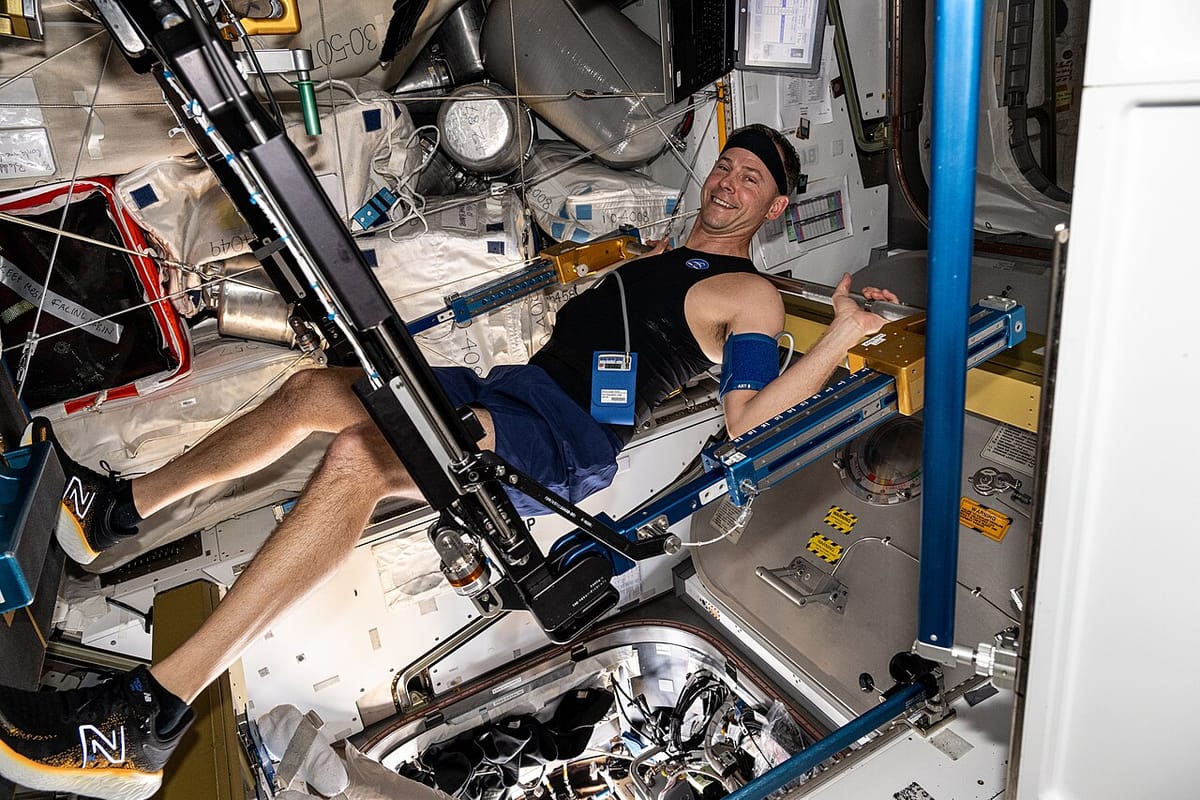 A Caparica Laboratory Is Teaching Muscles to Beep, and the European Space Agency Is Funding It