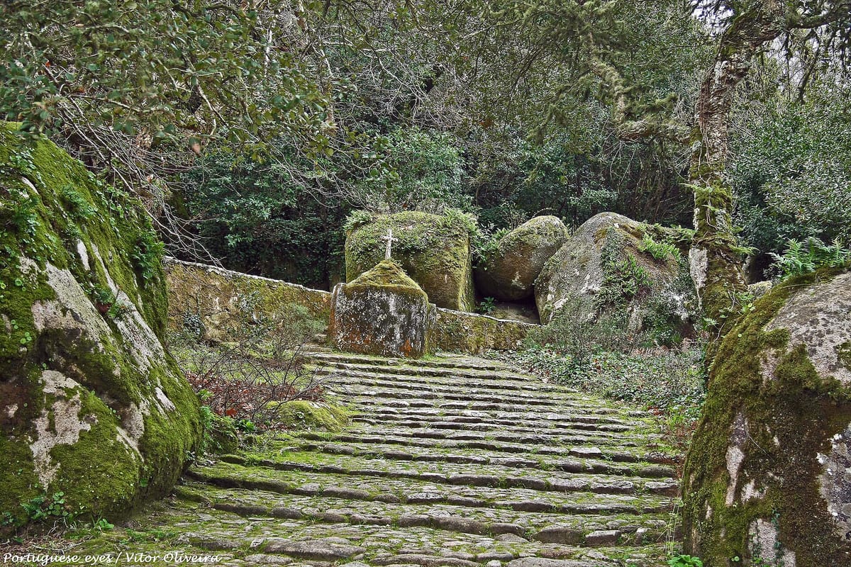Parques de Sintra Now Employs Five Men Who First Cleared Its Hillsides as Prisoners, and Three of Them Run Teams