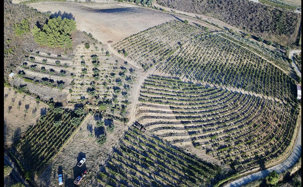 The Fires Called Vouzela and Valpaços Are Now Officially a Natural Catastrophe, and the 10 Million Euros Follows 32 Parishes Across Nine Councils