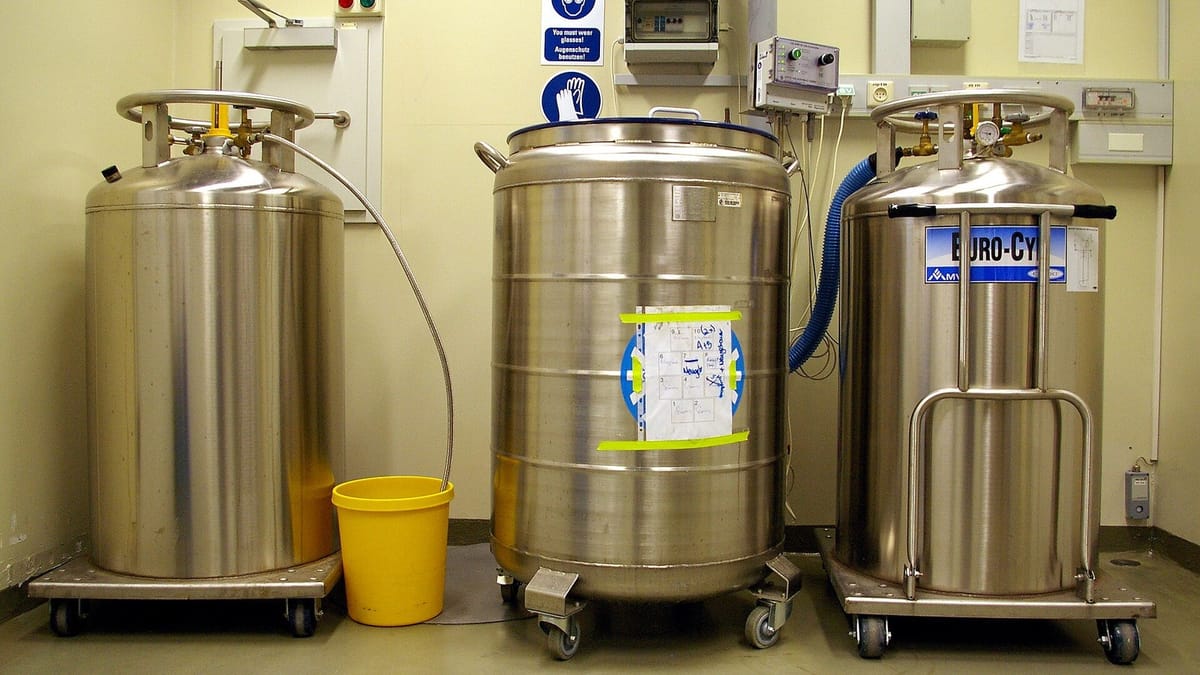 Crioestaminal's Owner Wants to Buy Rival Cord Blood Bank Bebévida, and Portugal's Competition Authority Opens an In-Depth Probe