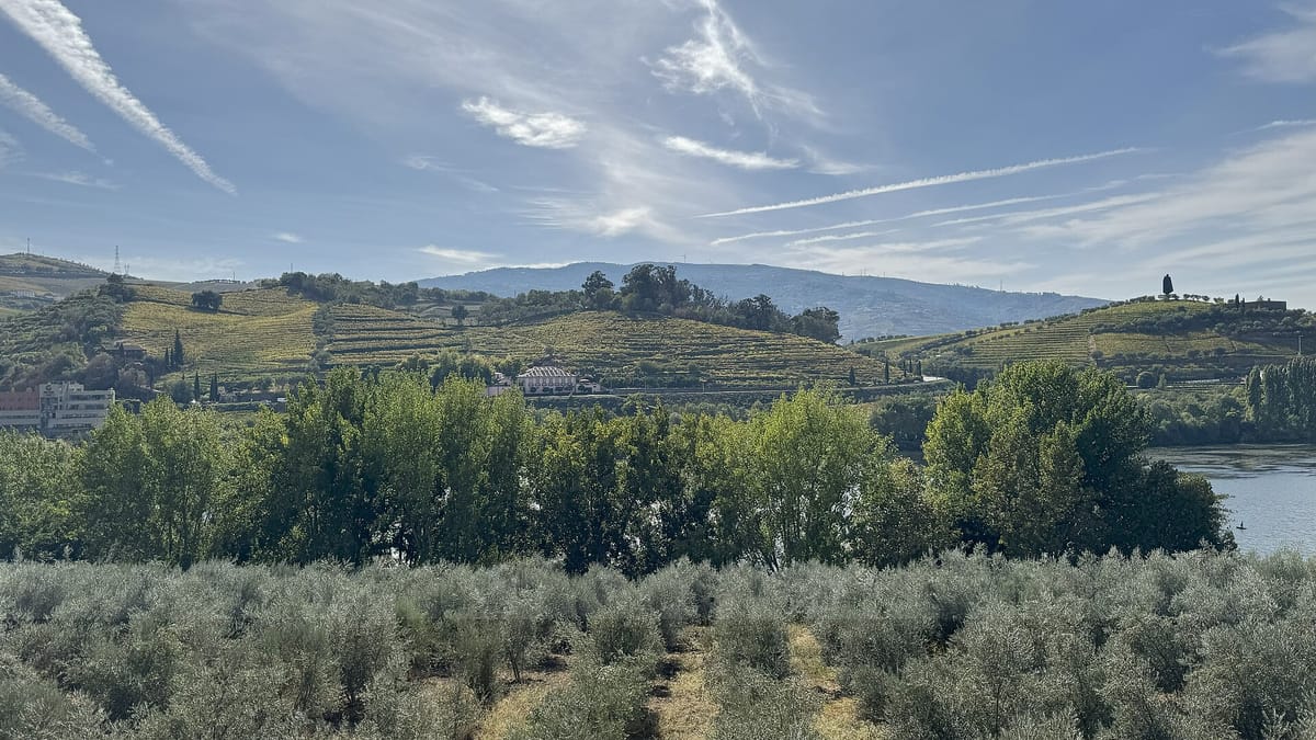 A Week After Publishing It, the Government Rewrites the Douro Non-Harvest Formula, and Growers Who Pick Less Now Get More