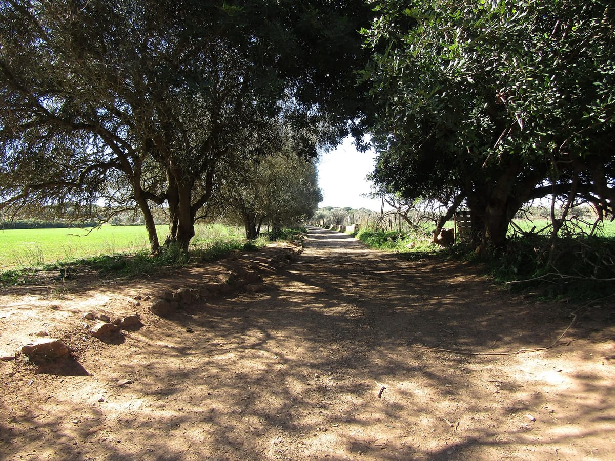 Rights of Way in Portugal in 2026: A Practical Guide to the Servidão de Passagem, the Landlocked Plot That Can Force One, the Twenty Years of Non-Use That Ends It, and Why an Invisible Track Can Never Be Won by Usucapião