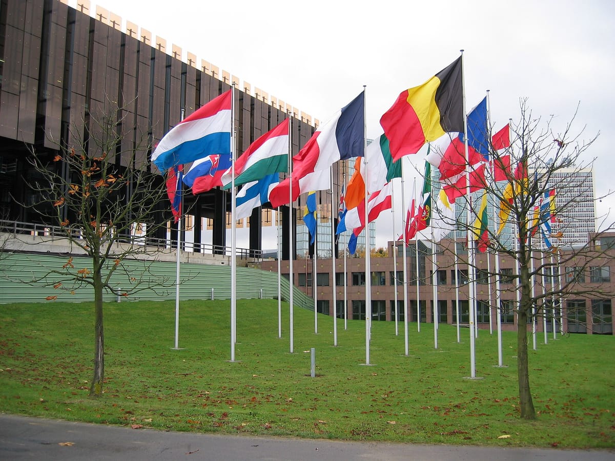 Portugal's Fast Track for EU-Funded Public Contracts Fails in Luxembourg, and a Losing Bidder's Automatic Suspension Comes Back