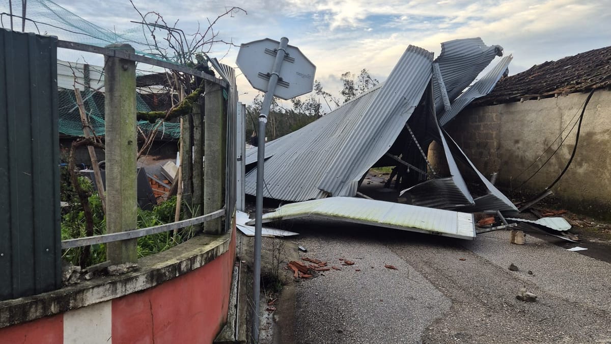 Farmers in 90 Councils Hit by Storm Kristin Will Share 30 Million Euros of EU Aid, at 1,000 Euros a Hectare for Vegetables