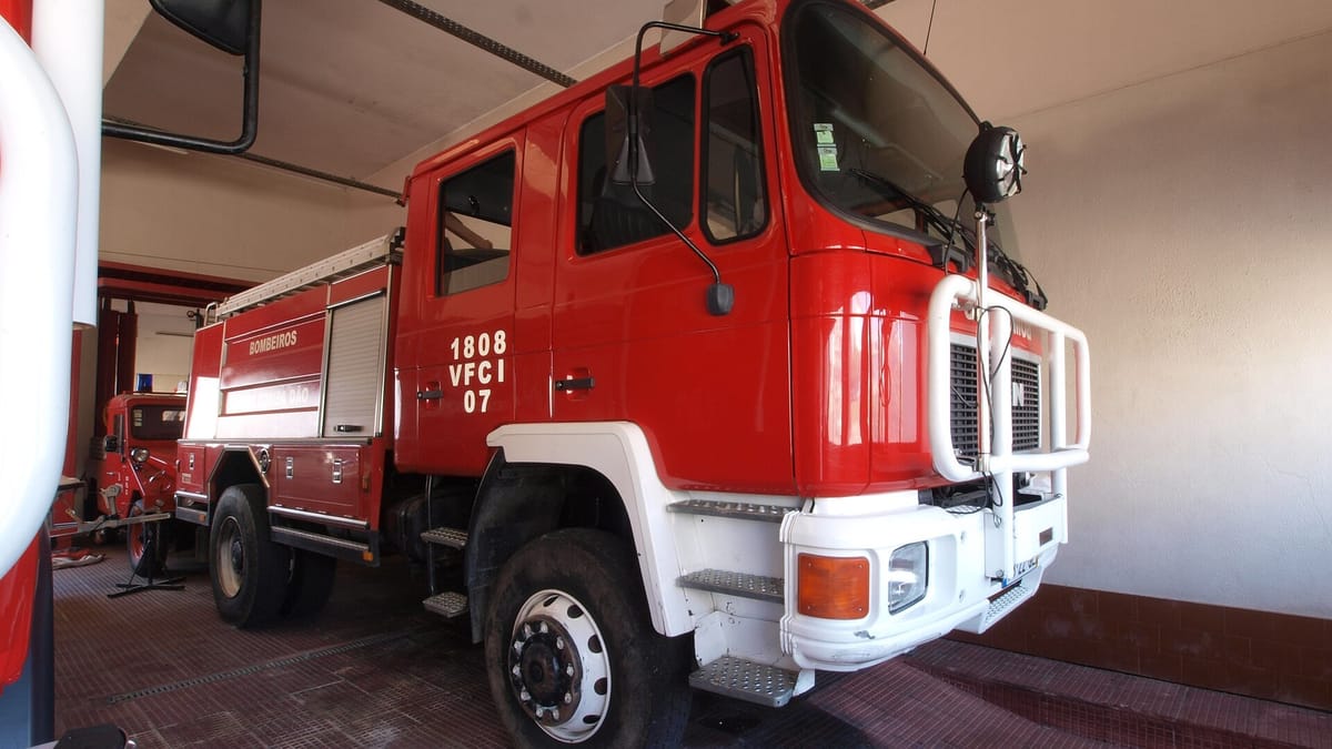 Volunteer Firefighter Maria João Carneiro, 24, Dies After a Tree Falls on Her at the Resende Fire, the Second Death on Duty This Year