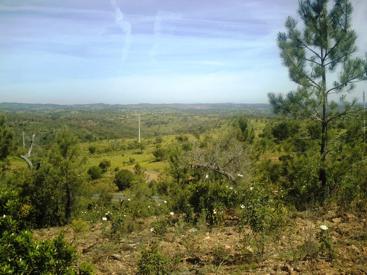 Mobile Abattoirs Become Legal in Mainland Portugal on 18 October, and the Licence Follows Where the Unit Parks