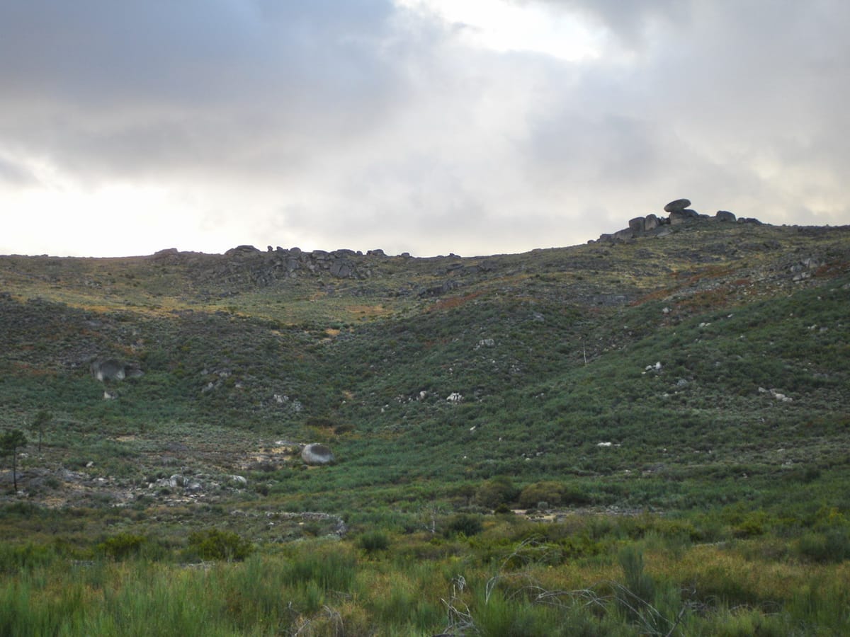 232 Hectares of Viseu Commonland Leave the Forest Regime for Two Solar Plants. The Replacement Land Covers 232.24.