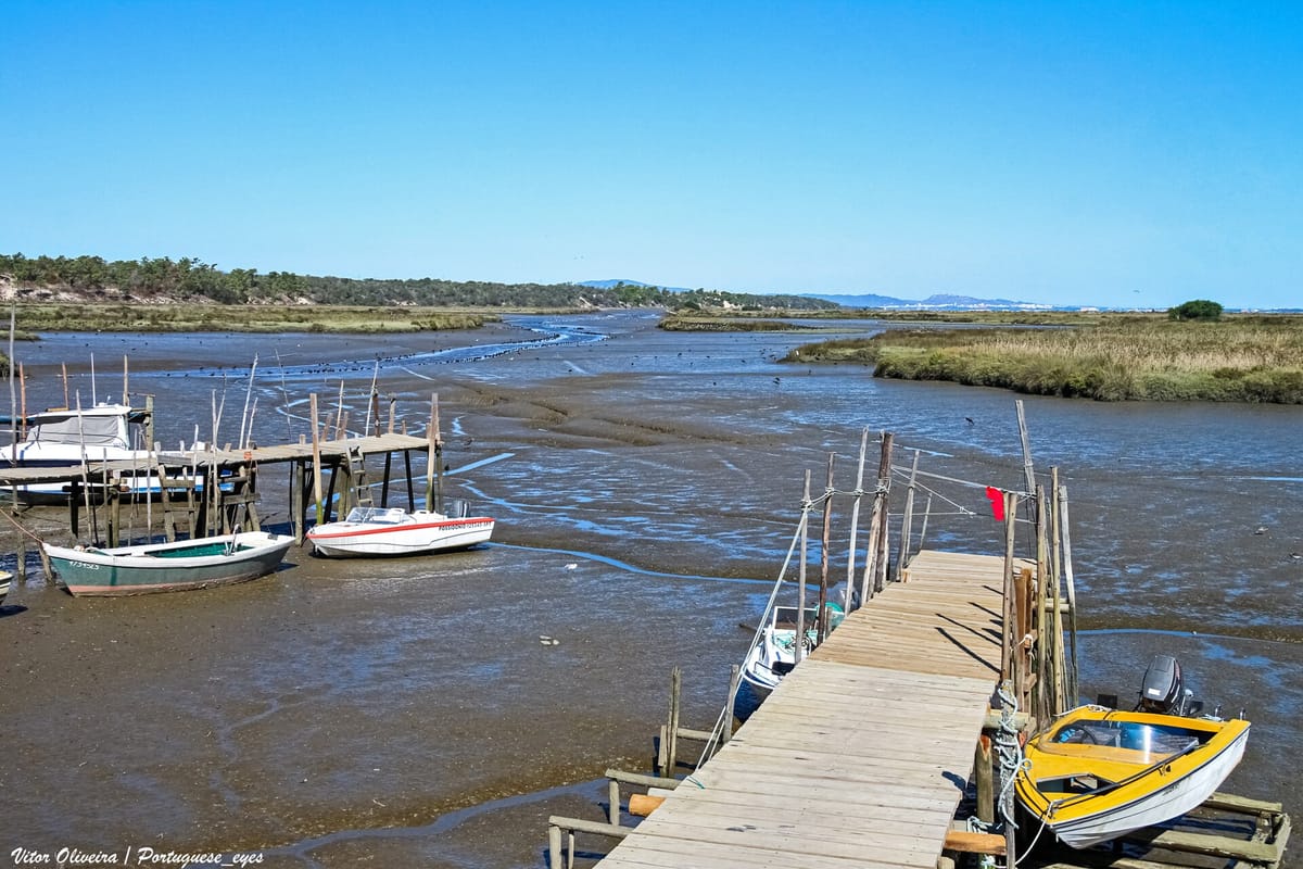 Portugal Pays Brussels 41,250 Euros a Day for Unprotected Nature Sites, and Monday's Sado Estuary Decree Is Worth 750 of Them
