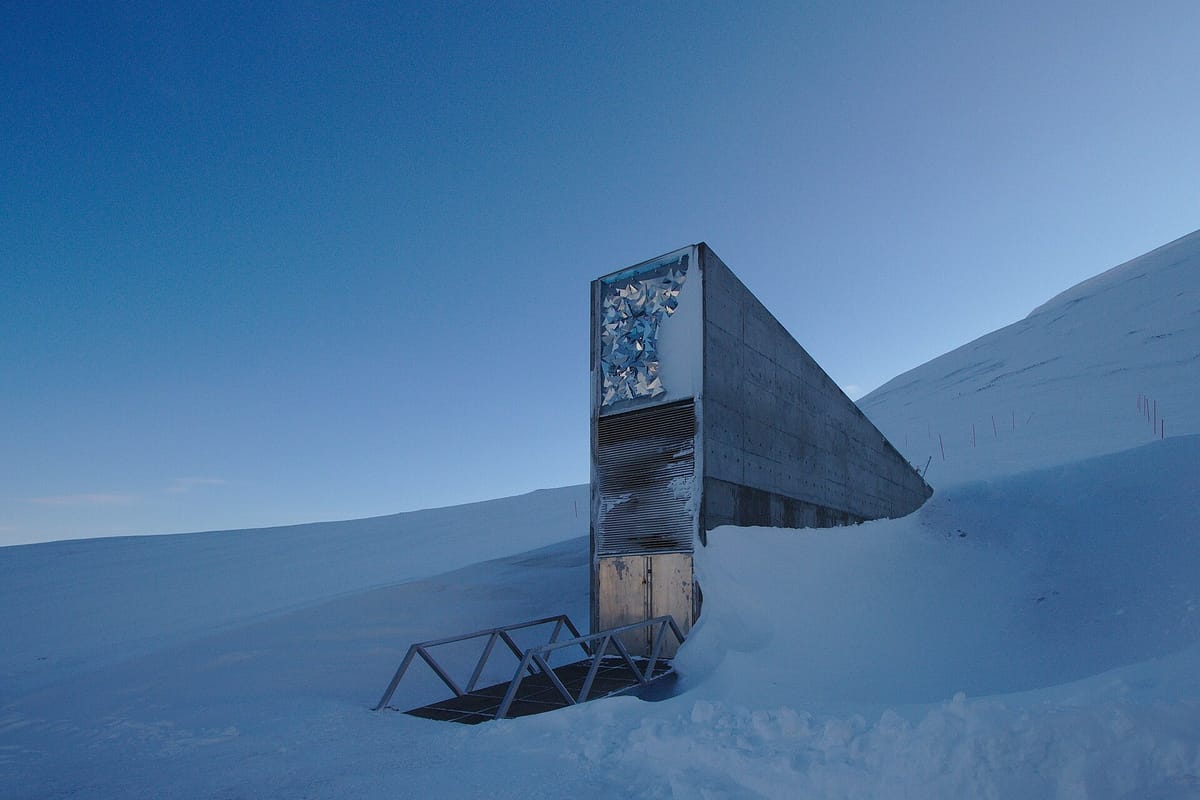 Portugal Stores 334 More Bean and Maize Samples in the Svalbard Seed Vault, Its Fifth Arctic Deposit