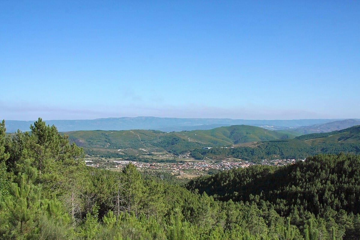 Environment Agency Clears Savannah's 16.5 Kilometre Boticas Bypass, Built to Take Barroso Lithium Mine Traffic to the A24