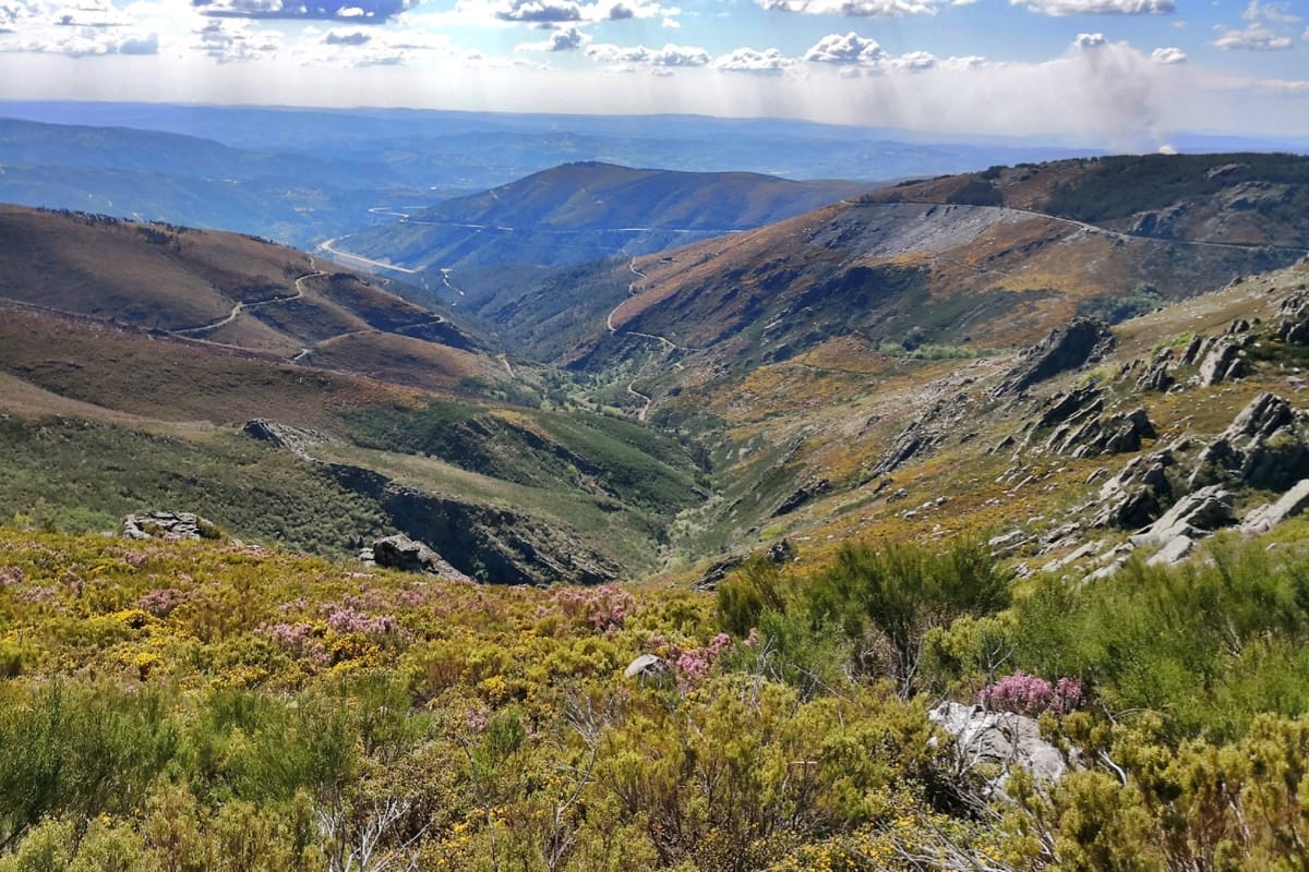 Portugal's Environment Agency Rejects a Solar Plant Beside a Serra do Marão Wind Farm to Protect Wolves and a Natura 2000 Landscape