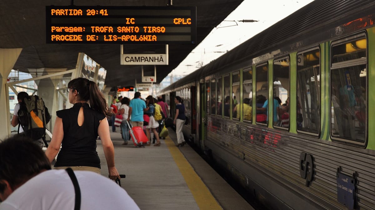 Taking a Dog or Cat on Public Transport in Portugal