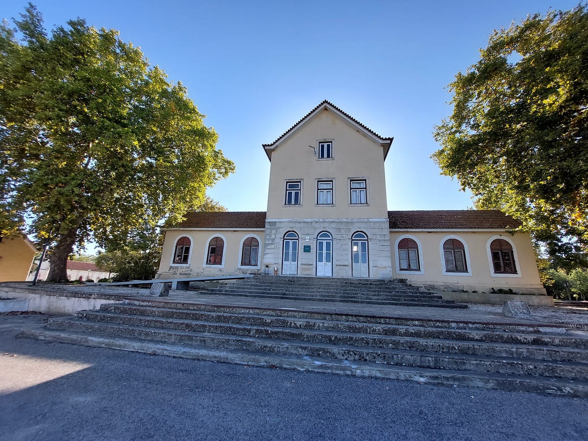 Portugal's Public Universities End Their Access Contest With 52,008 Students, While Bragança's Polytechnic Is Left With More Than Half Its Places Empty