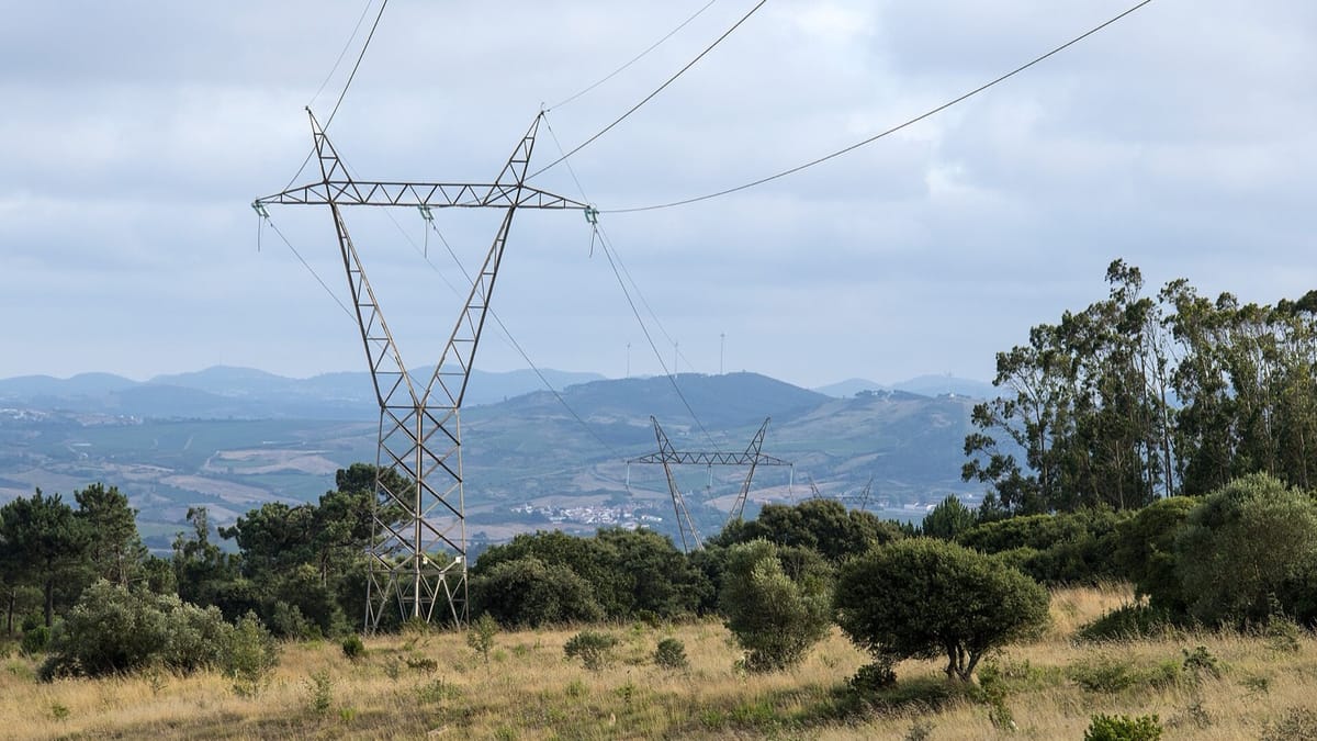 The State Expects to Save 46 Million Euros by Pooling Its 2027 Energy Purchases, Almost Twice the 2026 Estimate