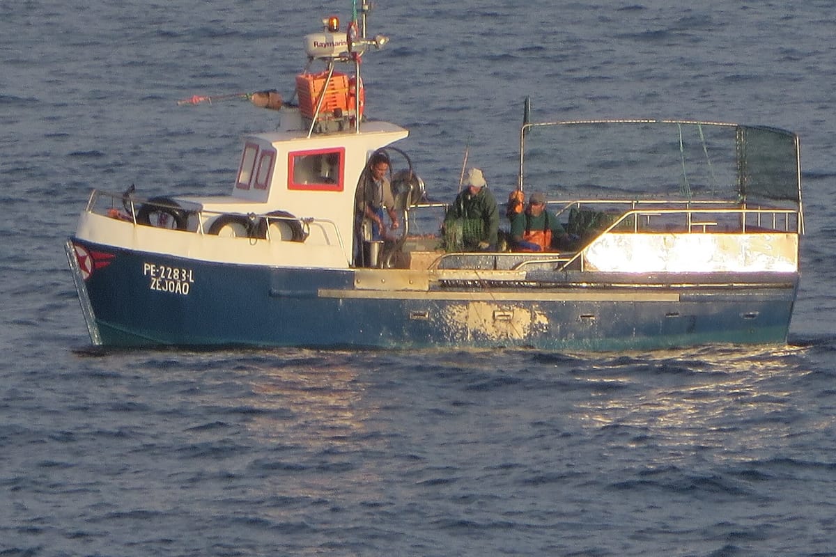 Portugal Trims Daily Sardine Landings by a Sixth From Wednesday to Keep the Fleet Within This Year's 33,446 Tonne Limit