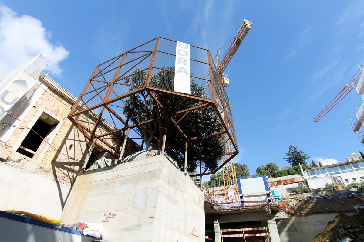 More Than 600 People in São Tomé Apply for 100 Construction Jobs in Portugal: How Legal Hiring From Outside the EU Works Now