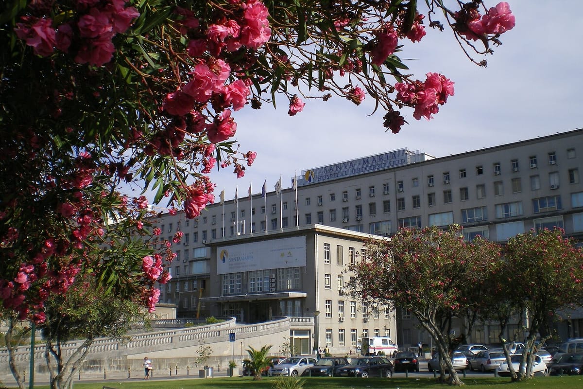 Portugal's New System for Hospital Appointments and Surgery Lists Is Pushed Back to January, as the Health Minister Expects Waiting Lists to Grow