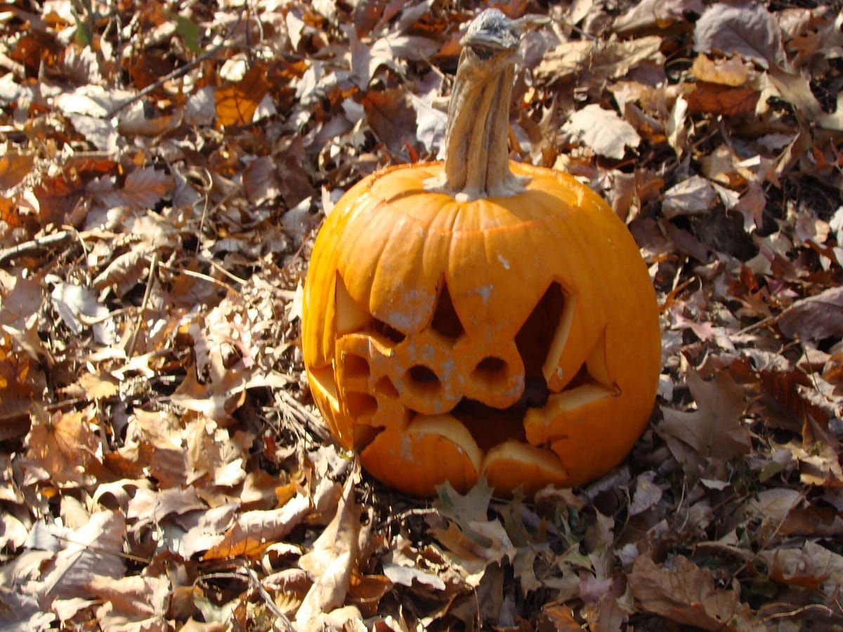 Halloween and Pão-por-Deus with Children in Portugal